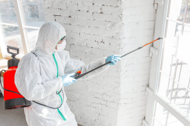 Best Mold Remediation for Healthcare Facilities  in Shrub Oak, NY