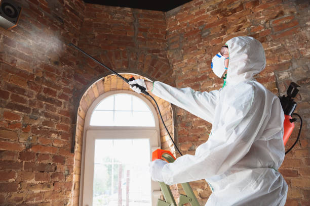 Best Residential Mold Inspection & Testing  in Shrub Oak, NY